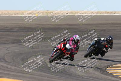 media/Mar-09-2024-SoCal Trackdays (Sat) [[bef1deb9bf]]/1-Bowl Exit (940am)/